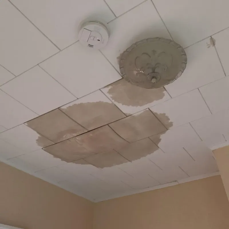 Ceiling Water Damage Repair in Noble County, OH