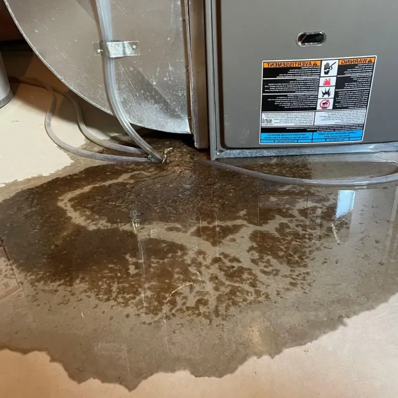 Pipe Burst and Leak Restoration in Noble County, OH