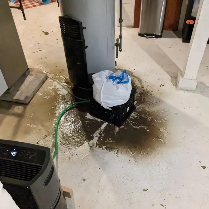 Sewage Backup Cleanup Service in Noble County, OH